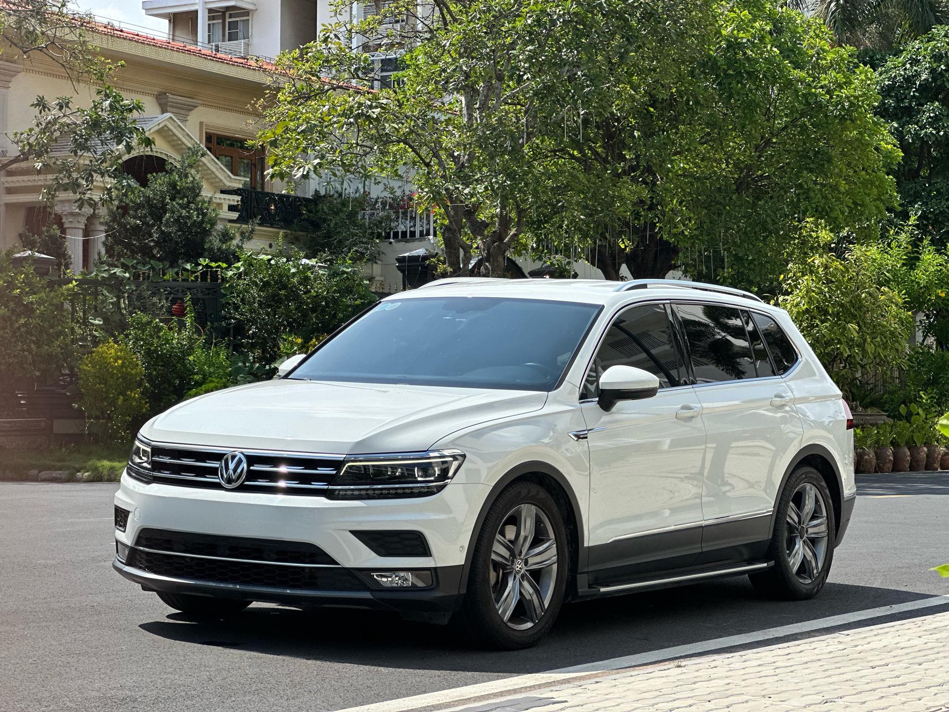 tiguan (13)