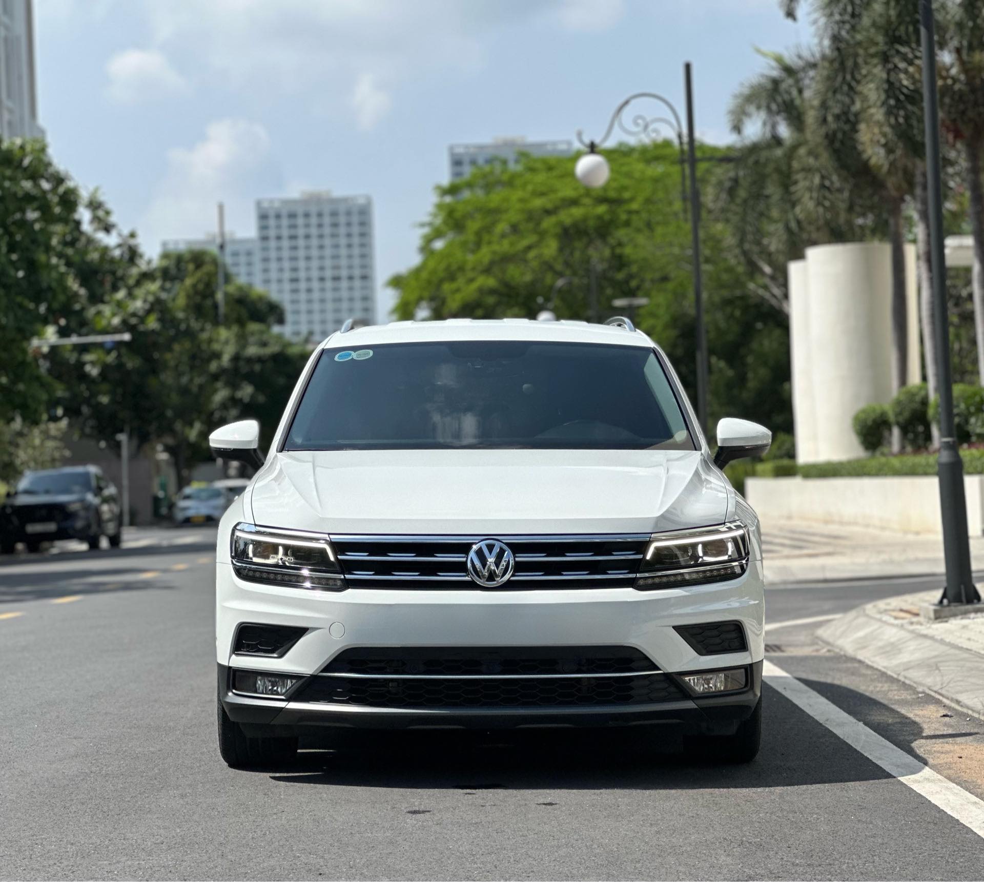 tiguan (15)