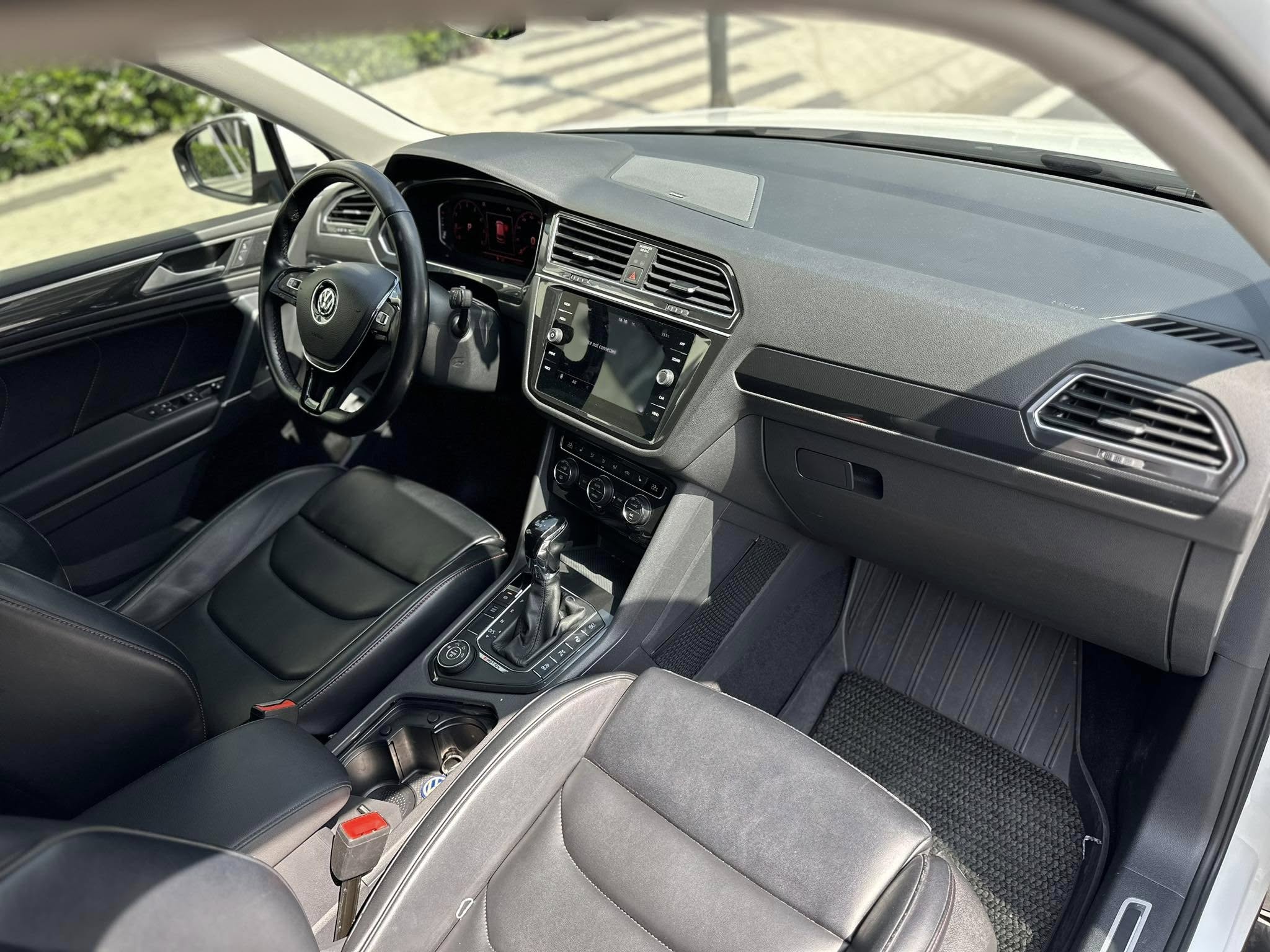 tiguan (19)