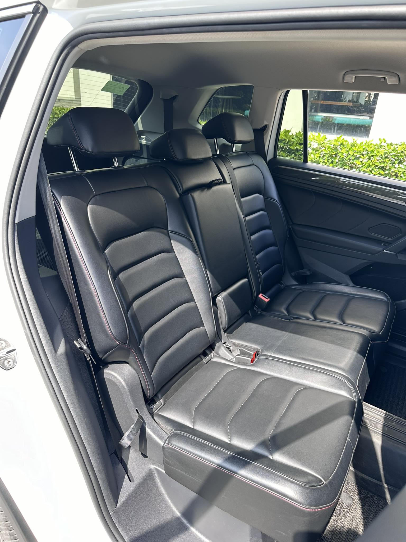 tiguan (21)